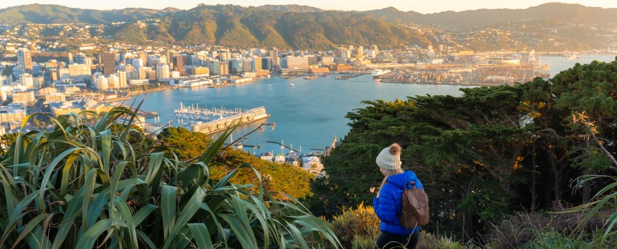Wellington New Zealand