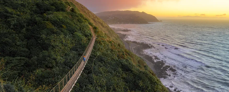 wellington