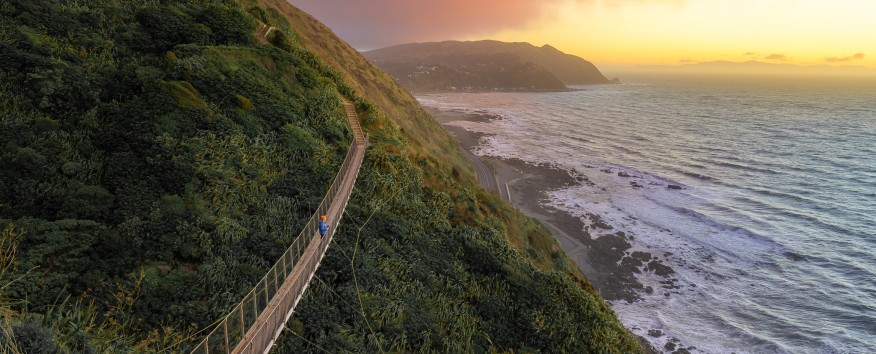 wellington