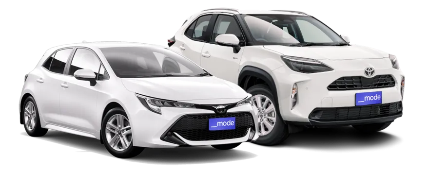 Compact and SUV