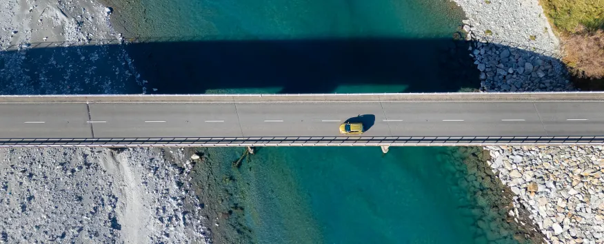 Wellington birds eye