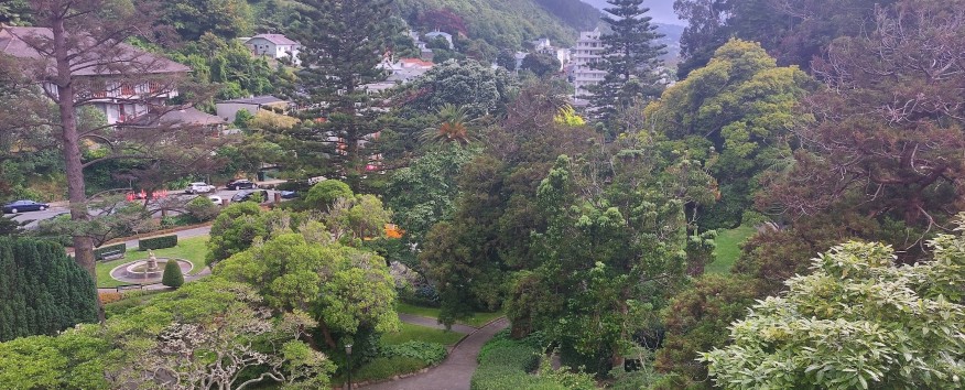 Wellington Botanical Gardens -RB