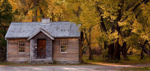 Rustic cabin amongst orange trees in the autumn