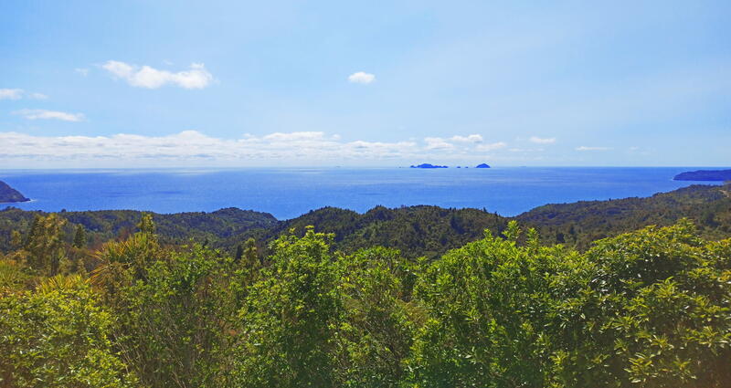 Shot of Coromandel from the forest out to the ocean