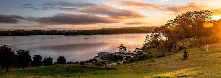 Matakana landscape