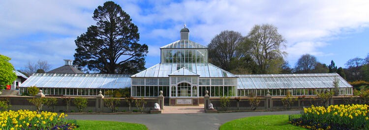 Dunedin Gardens