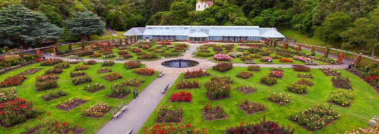 Wellington Gardens Sized
