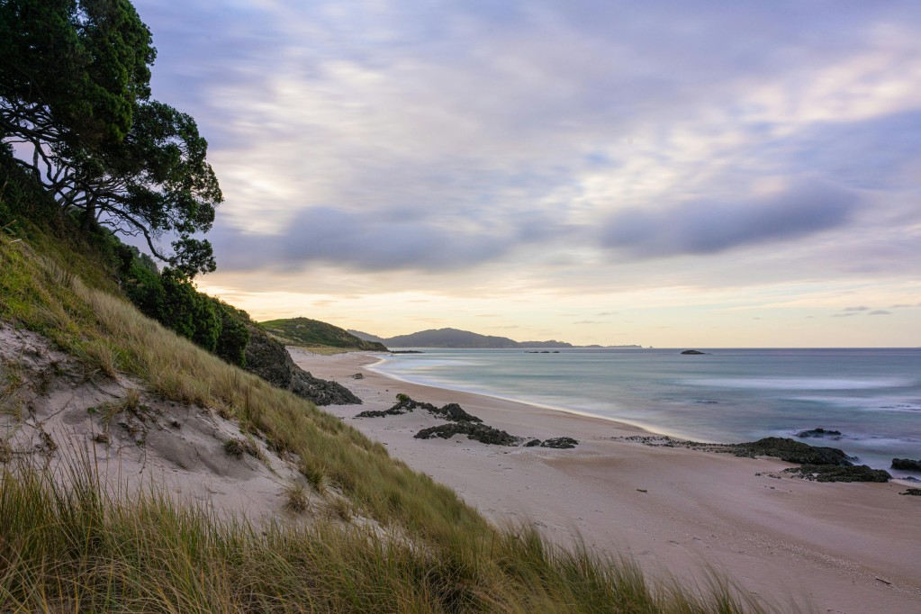 Whangārei Heads