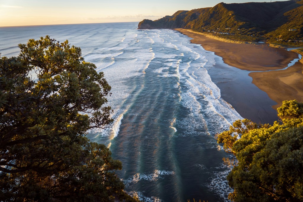Piha Beach