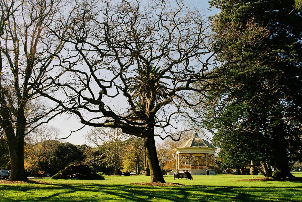 Auckland Autumn Park