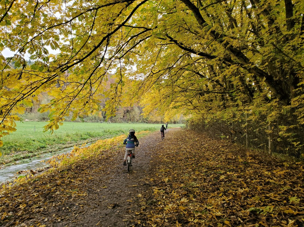 biking in autumn
