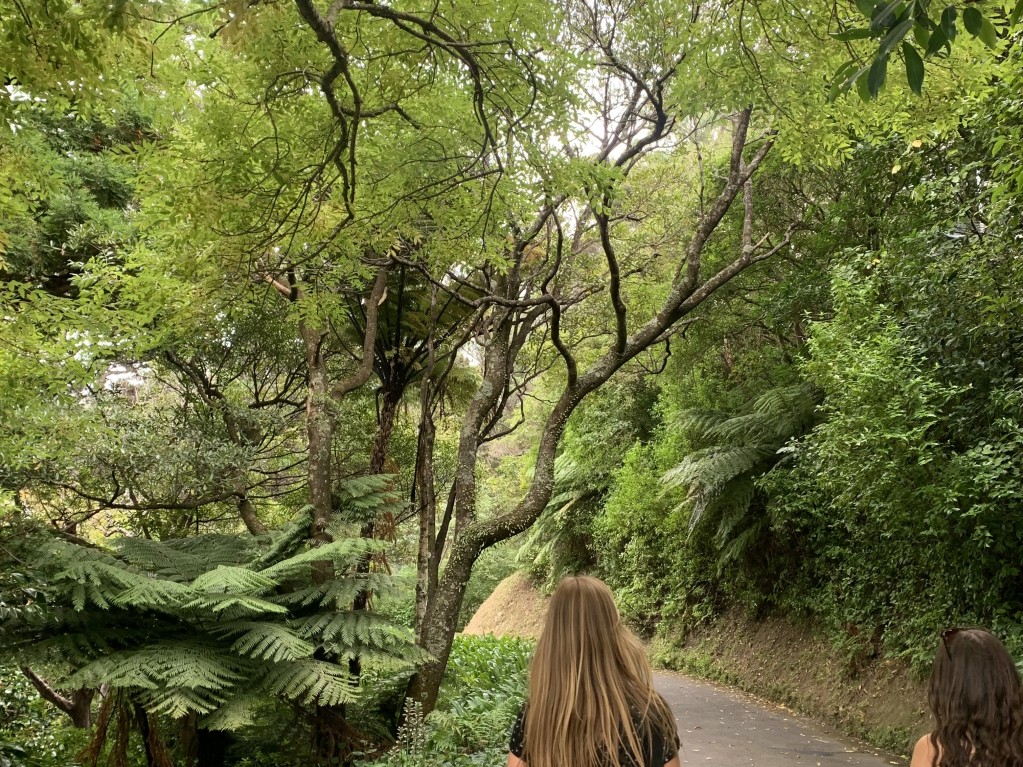 wellington botanica garden