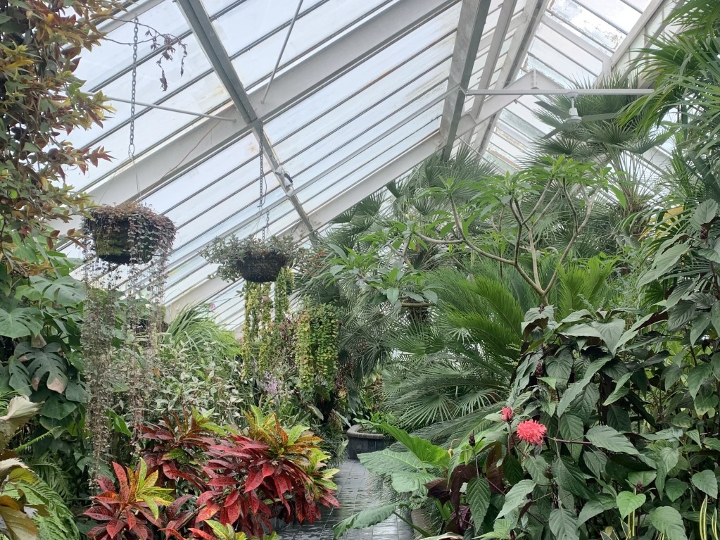 wellington botanical greenhouse