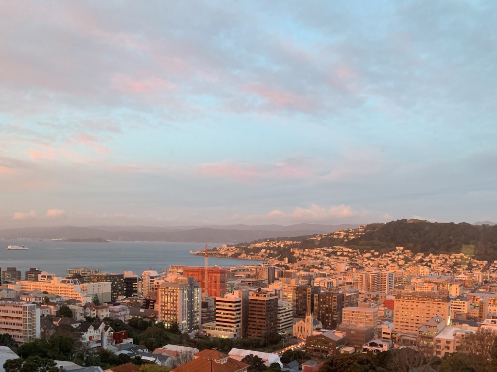 wellington city view
