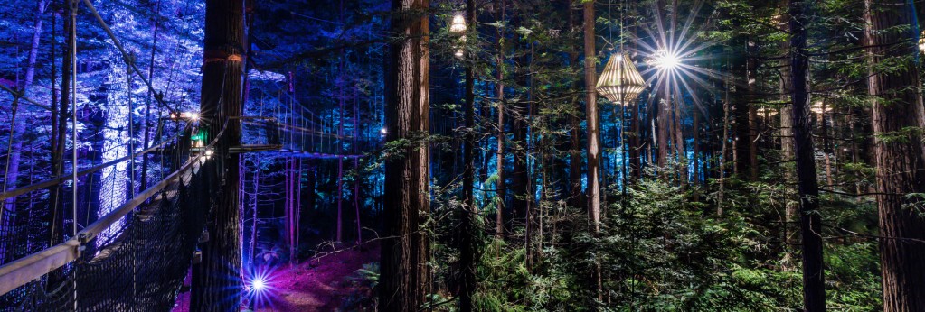 Redwoods Treewalk