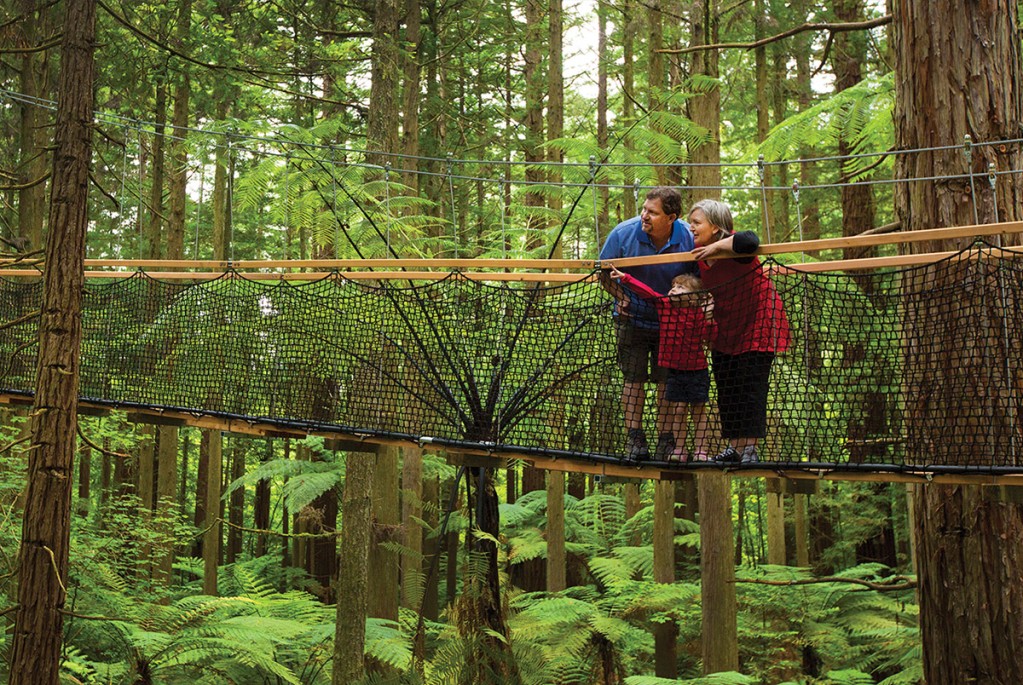Redwoods Treewalk