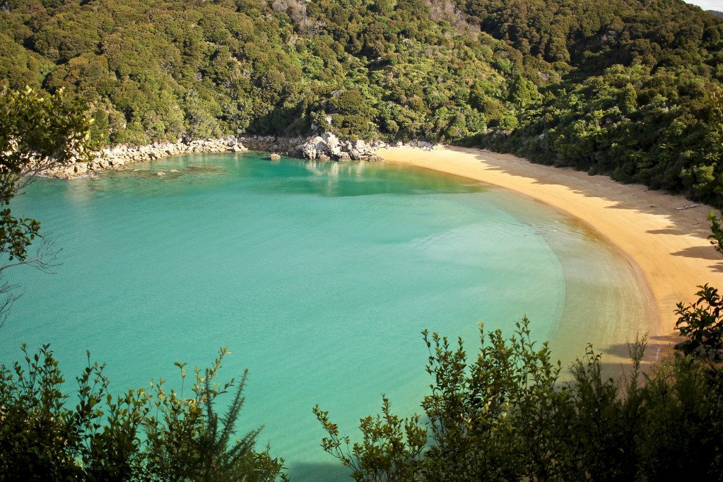 abel tasman beach new zealand