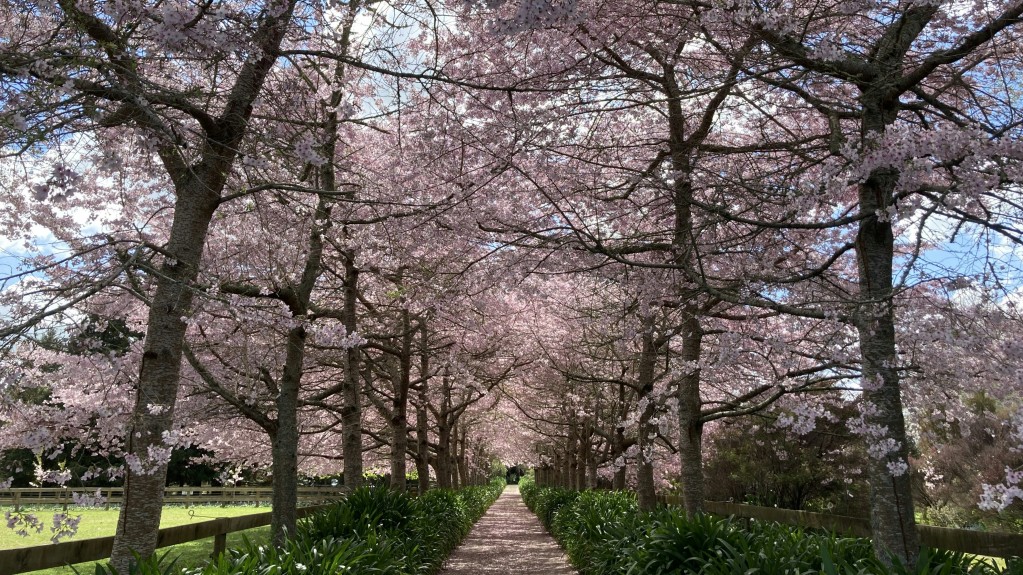 hamilton gardens new zealand