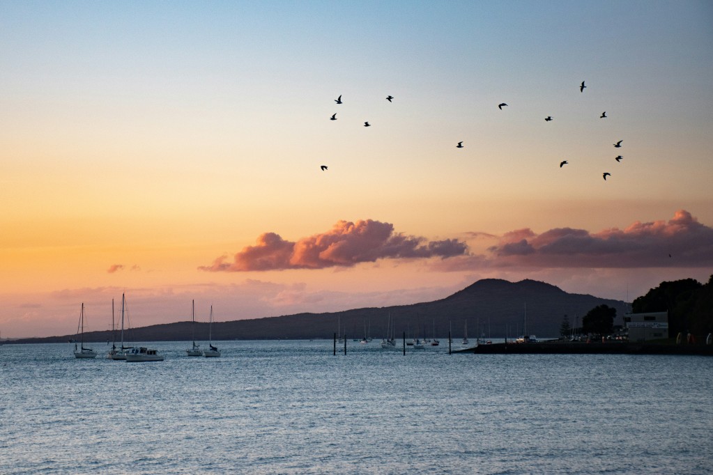 Hauraki gulf auckland