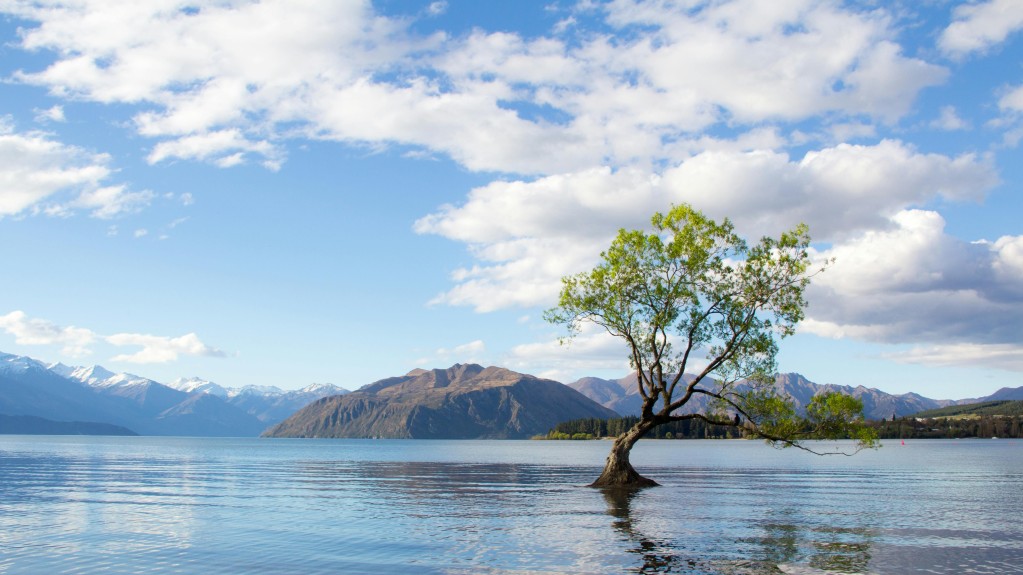 Lake Wānaka