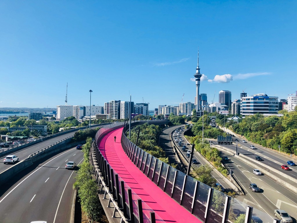 auckland city