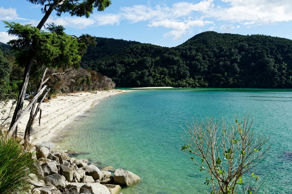 abel tasman bay