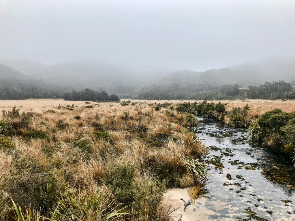 Kahurangi National Park