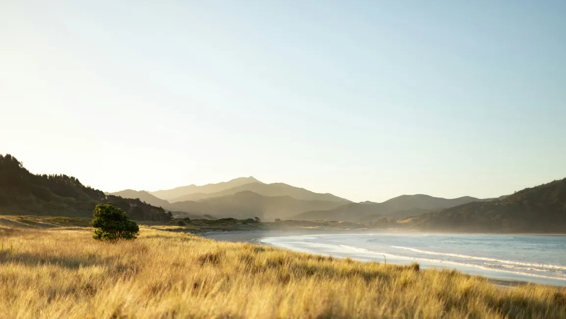 Coromandel Beach New Zealand