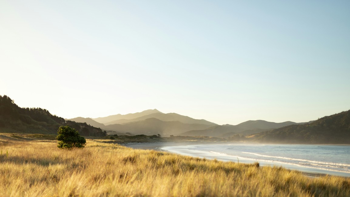 Coromandel Beach New Zealand