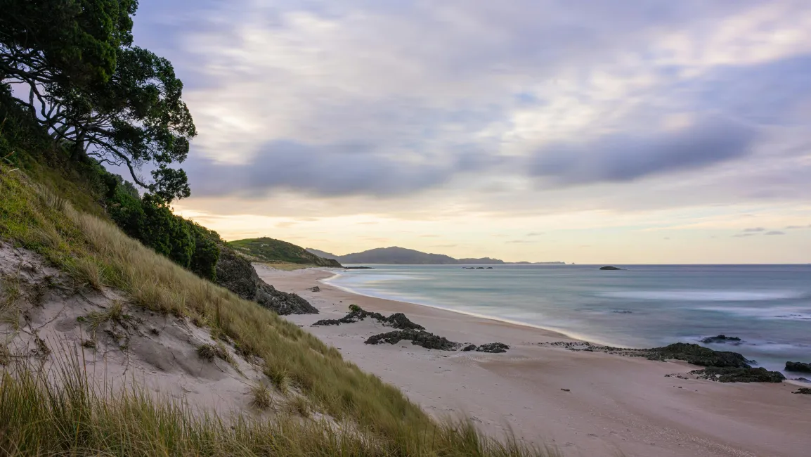 Whangārei Heads