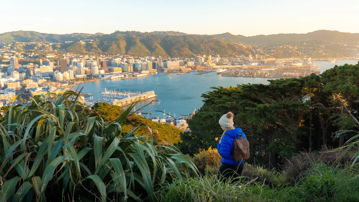 Wellington New Zealand