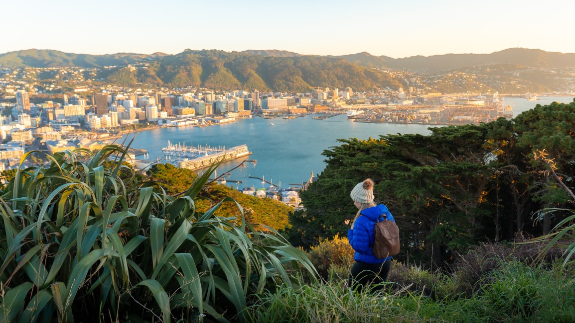 Wellington New Zealand