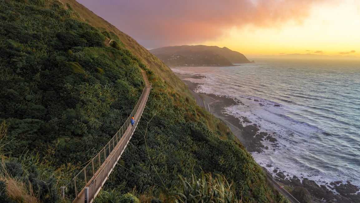 wellington