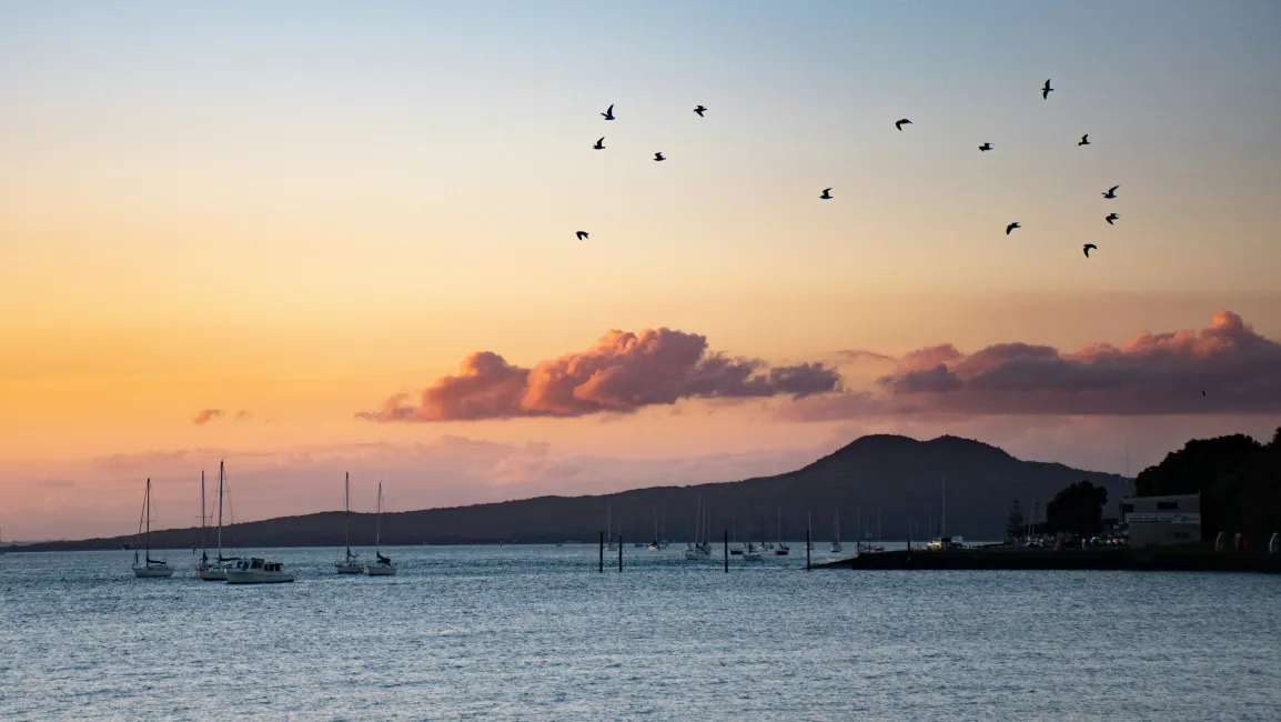 Hauraki gulf auckland