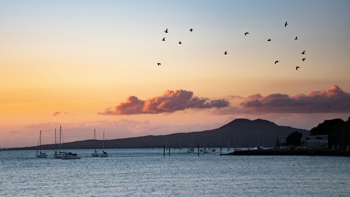 Hauraki gulf auckland