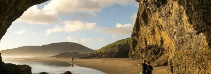 Bethells beach landscape