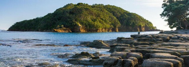 Goat island landscape