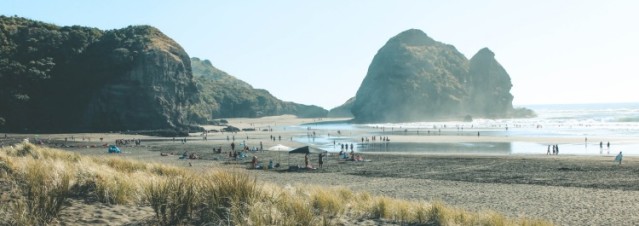 Piha beach landscape