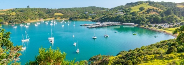 Waiheke landscape