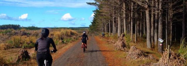 Woodhill