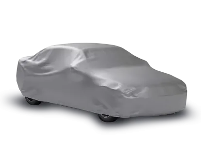 Super Economy Mystery Car