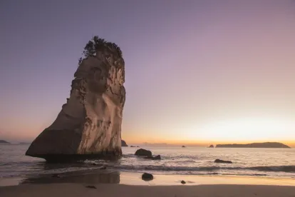 Coromandel rock