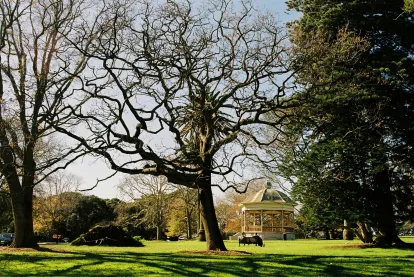 Auckland Autumn Park