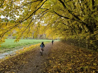 biking in autumn