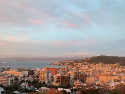 wellington city view