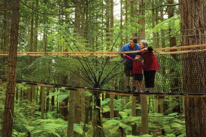 Redwoods Treewalk