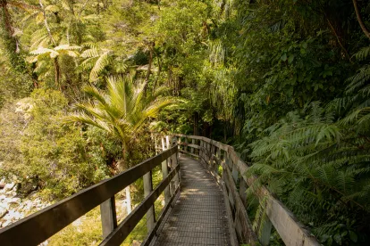 tasman