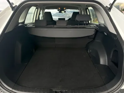 New Shape Trunk