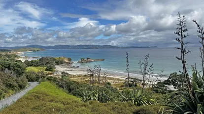 Tawharanui
