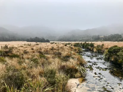 Kahurangi National Park
